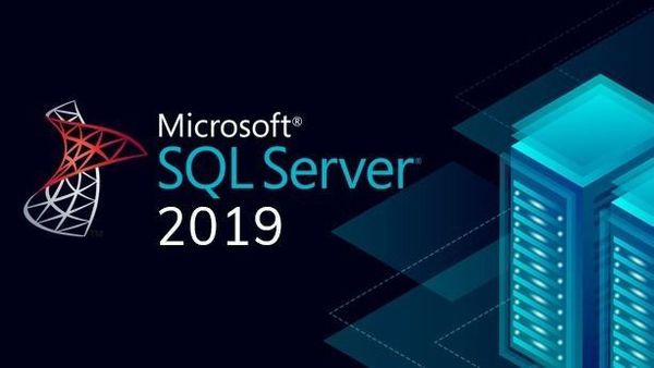 MS SQL Server Standard 2019 Edition OLP NL GOV